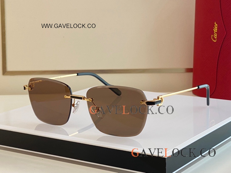 Première de Cartier ct0343 Glasses Rimless Sunglasses
